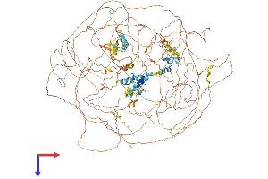 AlphaFold protein structure predicition of Mouse Recombinant Mbd5 Protein, UniprotID B1AYB6