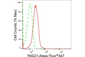 Flow cytometric analysis of RAD21 expression in HepG2 cells using RAD21 antibody (ABIN7800115), 1:2,000). (Recombinant RAD21 anticorps)
