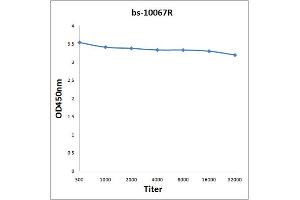 Antigen: 2 µg/100 µL Primary: Antiserum, 1:500, 1:1000, 1:2000, 1:4000, 1:8000, 1:16000, 1:32000; Secondary: HRP conjugated Rabbit Anti-Goat IgG at 1: 5000; TMB staining Read the data in Microplate Reader by 450nm.