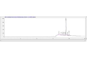 Brain Natriuretic Peptide (BNP) peptide (Ovalbumin)