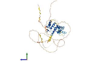 AlphaFold protein structure predicition of Human Recombinant PAX7 Protein, UniprotID P23759