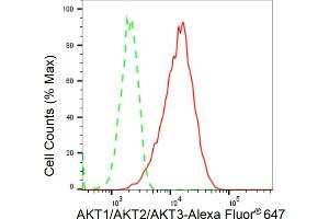 Flow cytometric analysis of AKT1/AKT2/AKT3 expression in C2C12 cells using AKT1/AKT2/AKT3 antibody (ABIN7797544), 1:(ABIN7798691). (Recombinant AKT 1/2/3 anticorps)