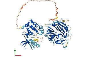 AlphaFold protein structure predicition of Mouse Recombinant Nek8 Protein, UniprotID Q91ZR4
