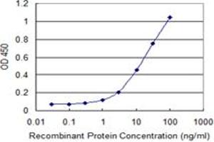 Detection limit for recombinant GST tagged ZBP1 is 0.