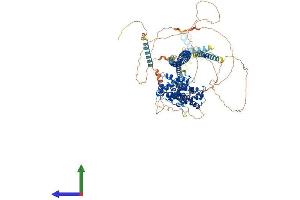 AlphaFold protein structure predicition of Mouse Recombinant Ppfibp1 Protein, UniprotID Q8C8U0