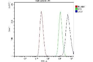 Flow Cytometry analysis of MCF-7 cells using anti-ZIC3 antibody (ABIN7599755).