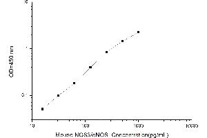 Typical standard curve (ENOS Kit ELISA)