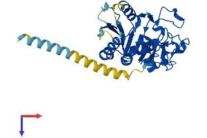AlphaFold protein structure predicition of Mouse Recombinant Ggta1l1 Protein, UniprotID A2AUQ7