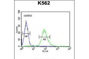 Flow cytometric analysis of K562 cells (right histogram) compared to a negative control cell (left histogram).