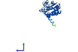 AlphaFold protein structure predicition of Mouse Recombinant Cdkn3 Protein, UniprotID Q810P3