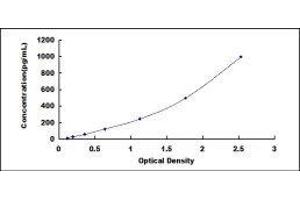 Inhibin, beta C (INHBC) ELISA Kit