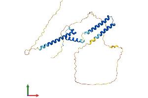 AlphaFold protein structure predicition of Human Recombinant HEY1 Protein, UniprotID Q9Y5J3