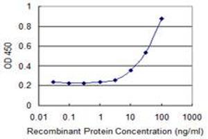 Detection limit for recombinant GST tagged NXF3 is 1 ng/ml as a capture antibody. (NXF3 anticorps  (AA 1-100))