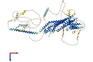 AlphaFold protein structure predicition of Human Recombinant PAXBP1 Protein, UniprotID Q9Y5B6
