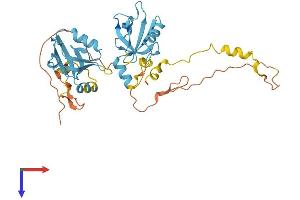 AlphaFold protein structure predicition of Mouse Recombinant Nherf2 Protein, UniprotID Q9JHL1