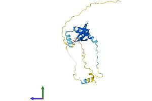 AlphaFold protein structure predicition of Human Recombinant BTF3 Protein, UniprotID P20290