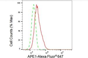 Flow cytometric analysis of APE1 expression in HT- cells using APE1 antibody (ABIN7797636), 1:2,000). (Recombinant APEX1 anticorps)