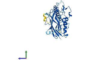 AlphaFold protein structure predicition of Mouse Recombinant Atp1b1 Protein, UniprotID P14094