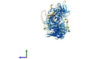 AlphaFold protein structure predicition of Human Recombinant AVIL Protein, UniprotID O75366