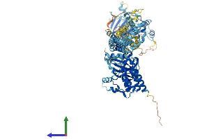 AlphaFold protein structure predicition of Mouse Recombinant Dstyk Protein, UniprotID Q6XUX1