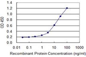 Detection limit for recombinant GST tagged HDDC3 is 0. (HDDC3 anticorps  (AA 1-140))