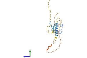AlphaFold protein structure predicition of Human Recombinant DPRX Protein, UniprotID A6NFQ7