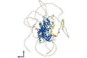 AlphaFold protein structure predicition of Human Recombinant PAN3 Protein, UniprotID Q58A45