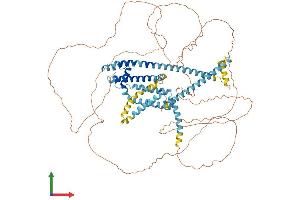 AlphaFold protein structure predicition of Human Recombinant CATSPER1 Protein, UniprotID Q8NEC5