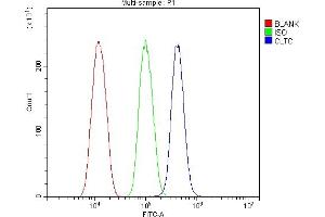 Flow Cytometry analysis of HEPA1-6 cells using anti-Clathrin heavy chain/CLTC antibody (ABIN7602704). (Clathrin Heavy Chain (CLTC) (AA 967-1668) anticorps)