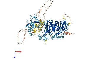 AlphaFold protein structure predicition of Mouse Recombinant Dgkb Protein, UniprotID Q6NS52