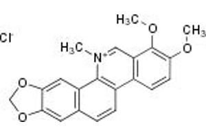 Chelerythrine chloride