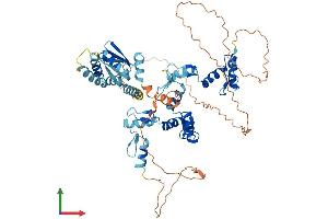 AlphaFold protein structure predicition of Mouse Recombinant Mynn Protein, UniprotID Q99MD8