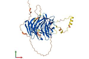 AlphaFold protein structure predicition of Human Recombinant WIPI2 Protein, UniprotID Q9Y4P8