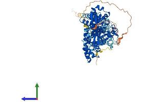 AlphaFold protein structure predicition of Human Recombinant RHOBTB1 Protein, UniprotID O94844