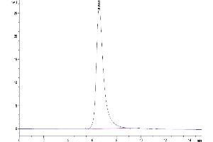 The purity of Cynomolgus CDCP1 is greater than 95 % as determined by SEC-HPLC.