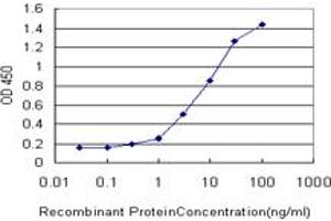 Detection limit for recombinant GST tagged FHL1 is approximately 0. (FHL1 anticorps  (AA 23-120))