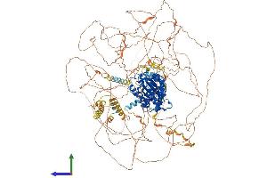 AlphaFold protein structure predicition of Human Recombinant CDK12 Protein, UniprotID Q9NYV4