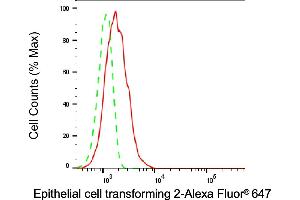 Flow cytometric analysis of Epithelial cell transforming 2 expression in HT- cells using Epithelial cell transforming 2 antibody (ABIN7798482), 1:1,000). (ECT2 anticorps)