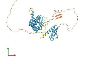 AlphaFold protein structure predicition of Human Recombinant PCBP3 Protein, UniprotID P57721