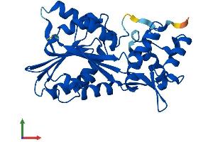 AlphaFold protein structure predicition of Mouse Recombinant Hnmt Protein, UniprotID Q91VF2