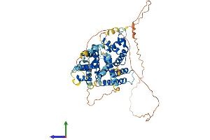 AlphaFold protein structure predicition of Mouse Recombinant Parpbp Protein, UniprotID Q6IRT3