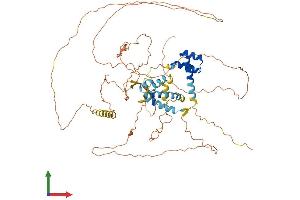 AlphaFold protein structure predicition of Human Recombinant POU6F2 Protein, UniprotID P78424