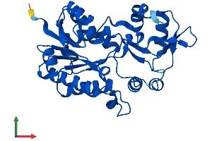 AlphaFold protein structure predicition of Human Recombinant NMRAL1 Protein, UniprotID Q9HBL8