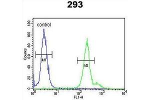 GPM6A Antibody (C-term) flow cytometric analysis of 293 cells (right histogram) compared to a negative control cell (left histogram). (GPM6A anticorps  (C-Term))