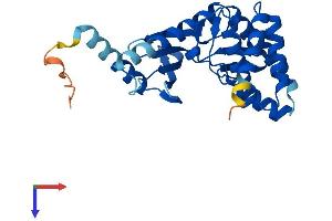 AlphaFold protein structure predicition of Human Recombinant TP53RK Protein, UniprotID Q96S44