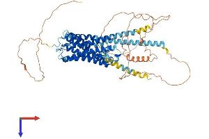 AlphaFold protein structure predicition of Human Recombinant CHRM3 Protein, UniprotID P20309