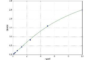 Adrenoceptor alpha 1A (ADRA1A) ELISA Kit