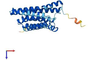 AlphaFold protein structure predicition of Human Recombinant SLC50A1 Protein, UniprotID Q9BRV3