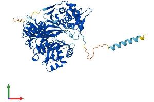 AlphaFold protein structure predicition of Mouse Recombinant Gk2 Protein, UniprotID Q9WU65