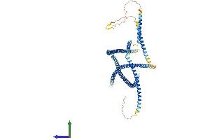 AlphaFold protein structure predicition of Human Recombinant JAKMIP1 Protein, UniprotID Q96N16